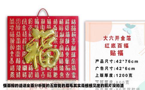懂面相的请进全面分析我的五官我的眉毛其实是根根见底的照片没拍清