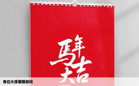 各位大师面相如何