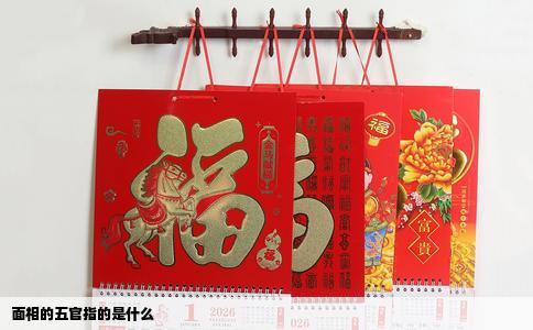 面相的五官指的是什么