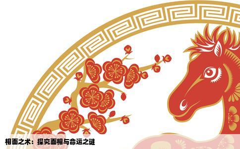 相面之术：探究面相与命运之谜