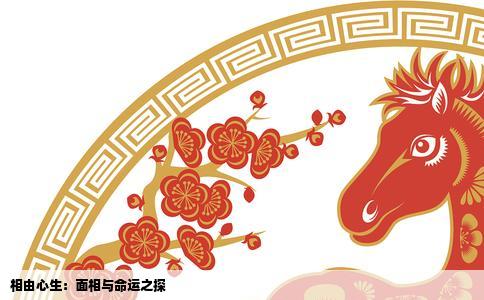 相由心生：面相与命运之探