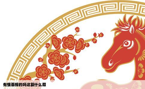 有懂面相的吗这算什么眉