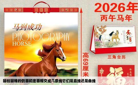 圆柱圆锥的侧面和底面相交成几条线它们是直线还是曲线