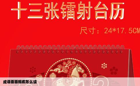 成语面面相觑怎么读