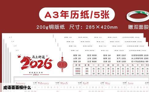 成语面面相什么