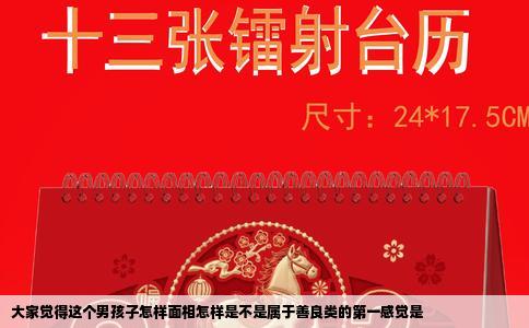 大家觉得这个男孩子怎样面相怎样是不是属于善良类的第一感觉是