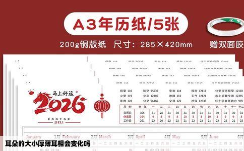 耳朵的大小厚薄耳相会变化吗