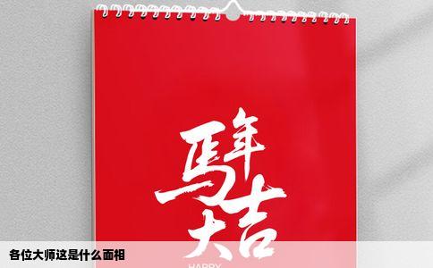 各位大师这是什么面相