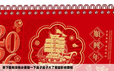 看下我有没有必要整一下鼻子鼻子大了整容影响面相