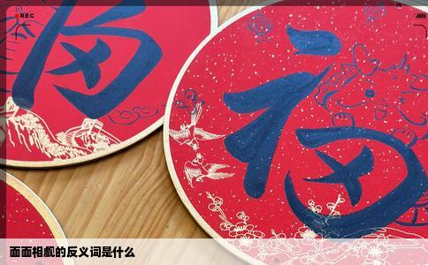 面面相觑的反义词是什么