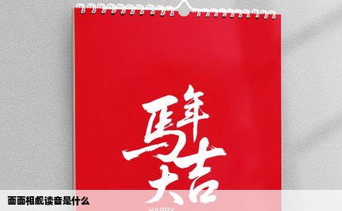 面面相觑读音是什么