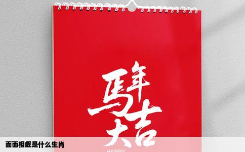 面面相觑是什么生肖