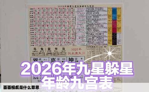 面面相觑是什么意思