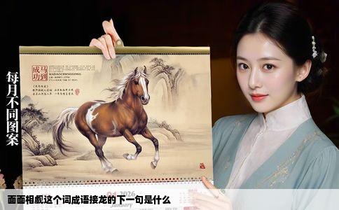 面面相觑这个词成语接龙的下一句是什么