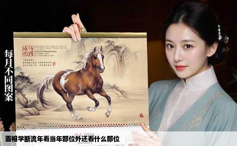 面相学断流年看当年部位外还看什么部位