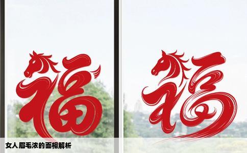 女人眉毛浓的面相解析