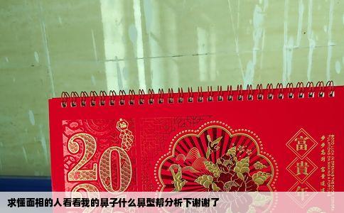 求懂面相的人看看我的鼻子什么鼻型帮分析下谢谢了