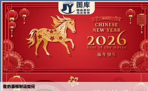 我的面相财运如何