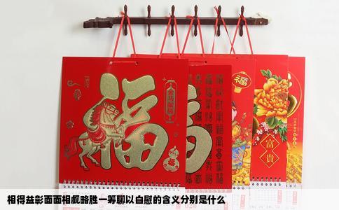 相得益彰面面相觑略胜一筹聊以自慰的含义分别是什么