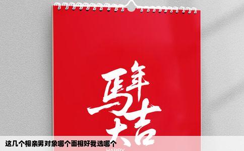 这几个相亲男对象哪个面相好我选哪个