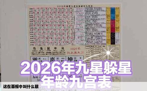 这在面相中叫什么眼